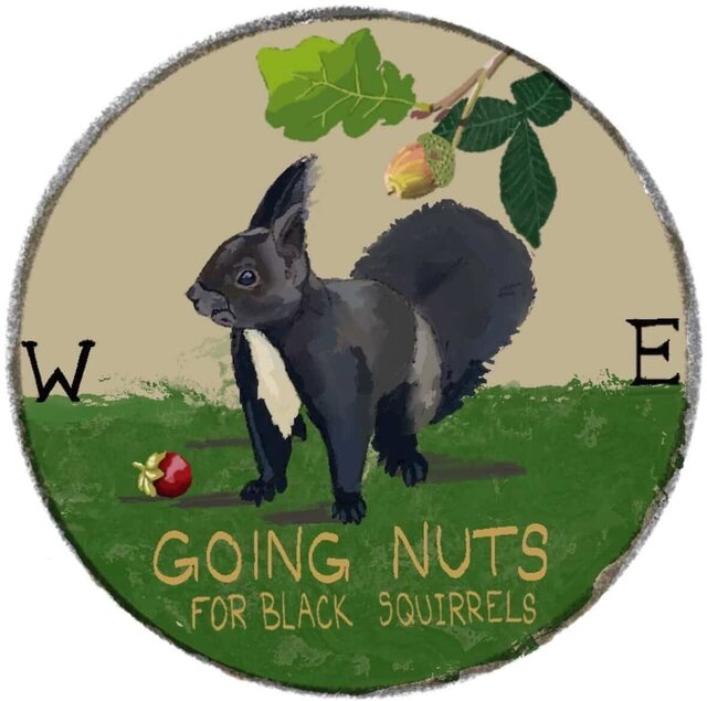 Going Nuts for Black Squirrels project logo: a black squirrel under an oak branch with an acorn
